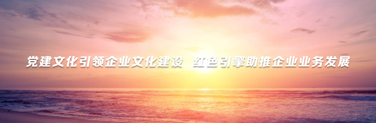 银钻国际党委.png